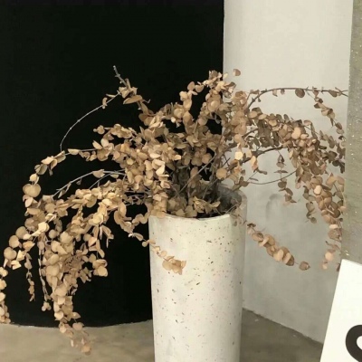 Furry插画元素灵感兽圈社群